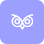 Night Owl