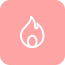 Wildfire