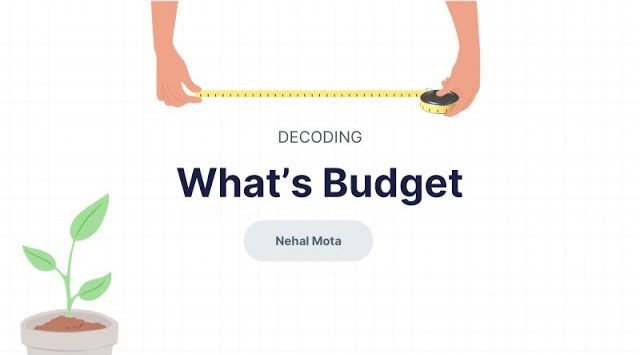 What is Budget and What Professionals Can Expect | Finnfit Wednesday Webinar I #10